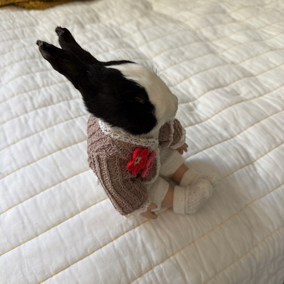 Handcrafted taxidermy Bunny Doll with Brown Sweater - Picture 2 of 3